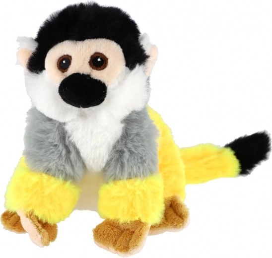 Realistlikud marmoseti detailid