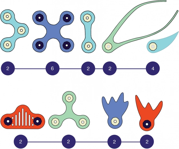 Paindlikud vormid ja tugevad magnetid