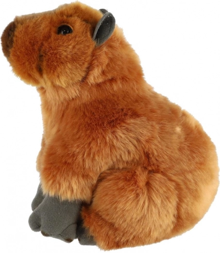 Turvaline valik alates sünnist