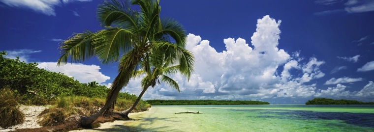 Paradiisliku ranna troopiline motiiv