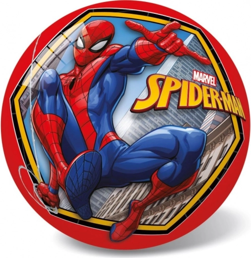Ametlik SPIDER-MANi motiiv