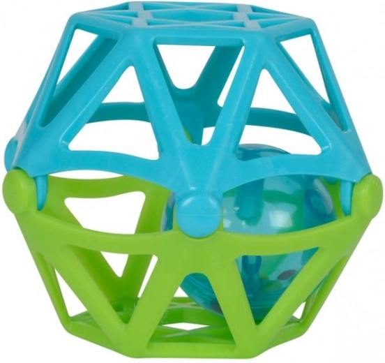 Arendatud meelte arendamiseks