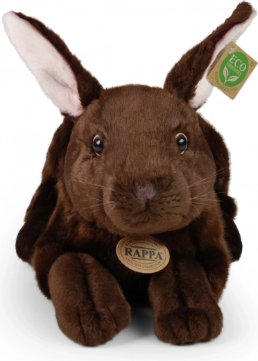 ECO-FRIENDLY täidis