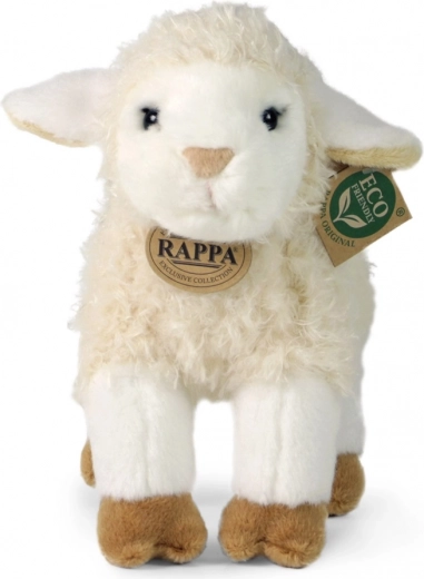 RAPPA eksklusiivne kollektsioon