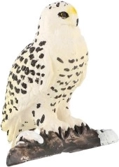 Arktika kiskja truudetailne kujutus