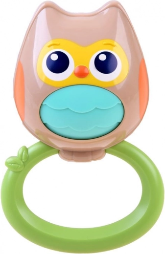 Öökullikujuline kõristi