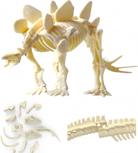 Pane kokku realistlik STEGOSAURUSE skelett