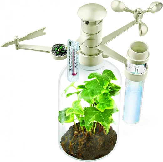 Multifunktsionaalne seade