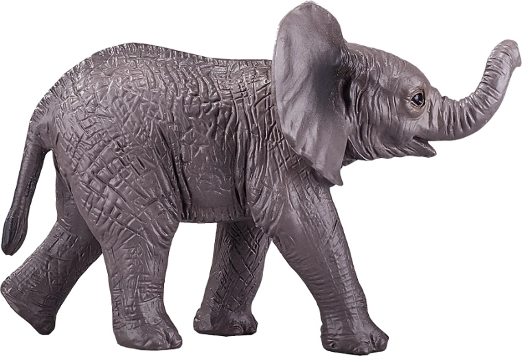 Educational and decorative element