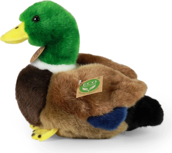 ECO-FRIENDLY materjalid