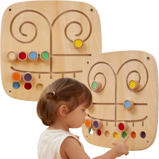 Meelte ja tunnetuse areng