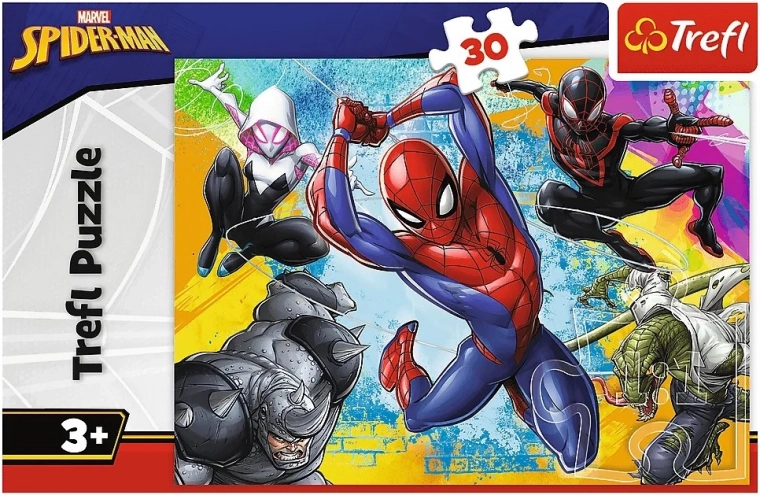 Populaarne MARVEL SPIDER-MAN motiiv