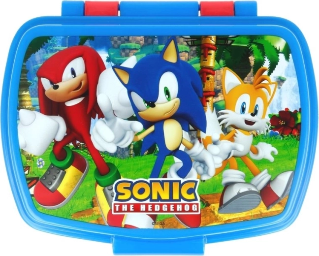 Lõbus disain SONICu fännidele