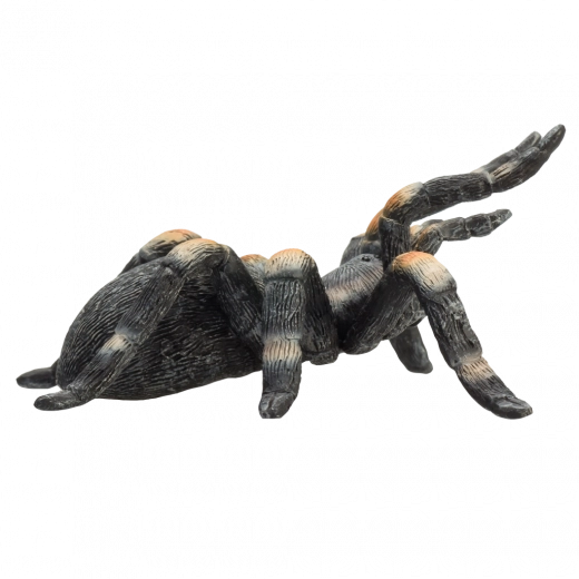 Universaalne kasutus: mäng, kollektsioon ja õpe