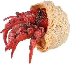 Kompaktne 7 cm suurus ja universaalne kasutus