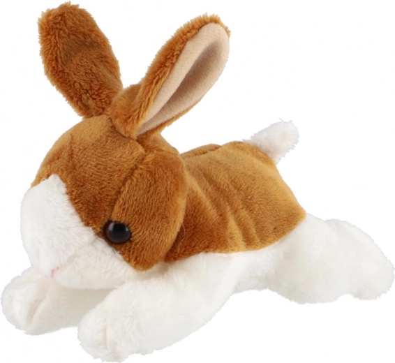 Armsad, realistlikud detailid