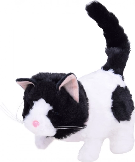 Realistlikud funktsioonid suuremaks lõbuks