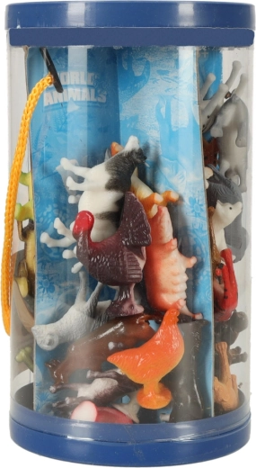 4 maailma ühes komplektis