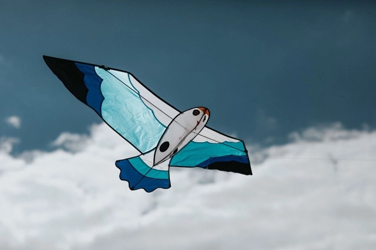 Ideal for 2–5 Bft winds