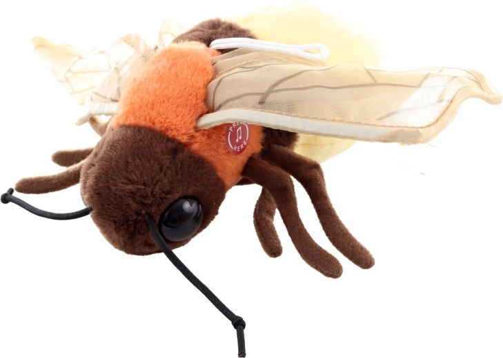 Praktiline toide vahetatavate patareidega