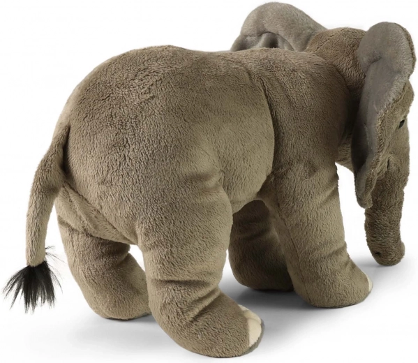 Pehme ja siidine plüüs igapäevaseks kallistamiseks