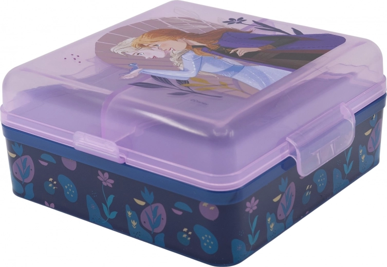 Magical FROZEN design kids love