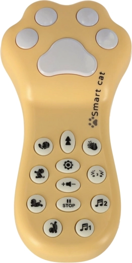 Intuitive remote control