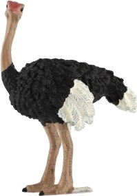 Hariduslik väärtus