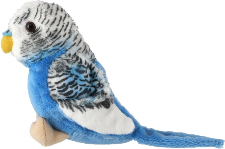 Realistic feather details and look