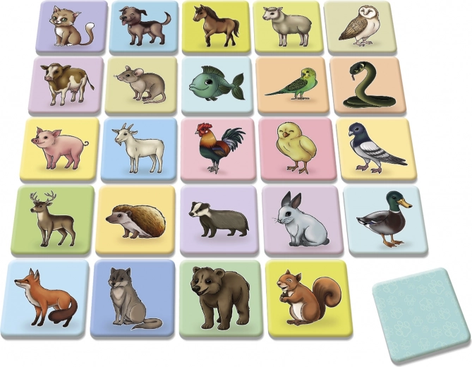 Värvikad ja kvaliteetsed illustratsioonid