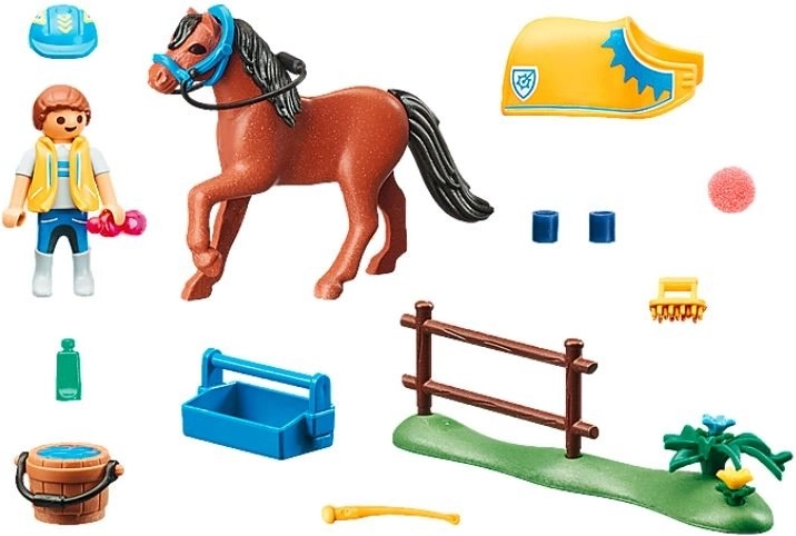 Everything for caring for the pony