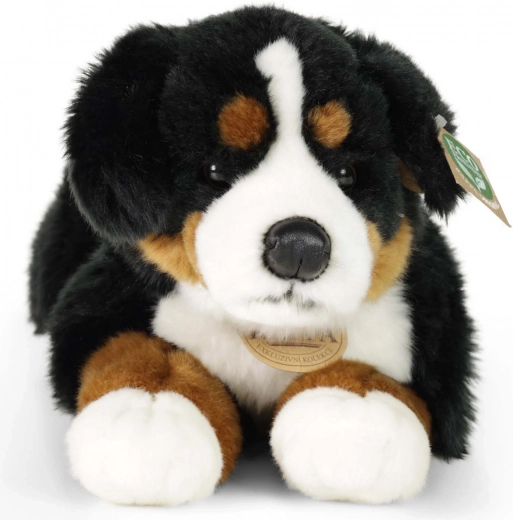 Õrn, pehme ja kaisutatav