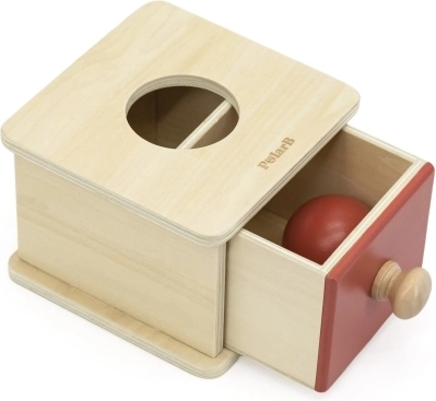 Montessori püsivuse mõiste õppimine