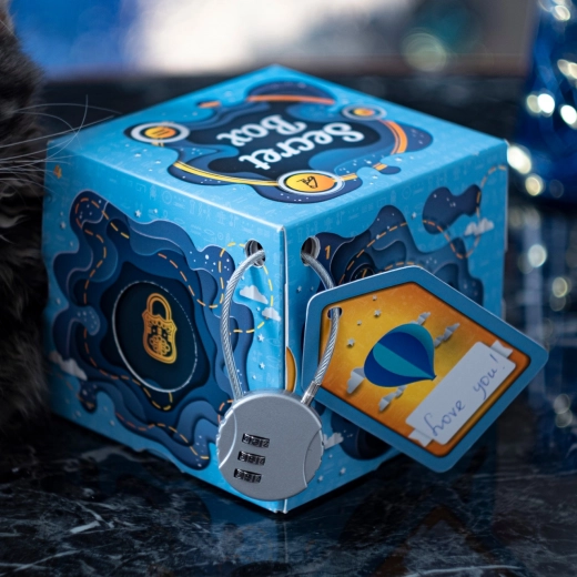 Lockable mystery box with adjustable code