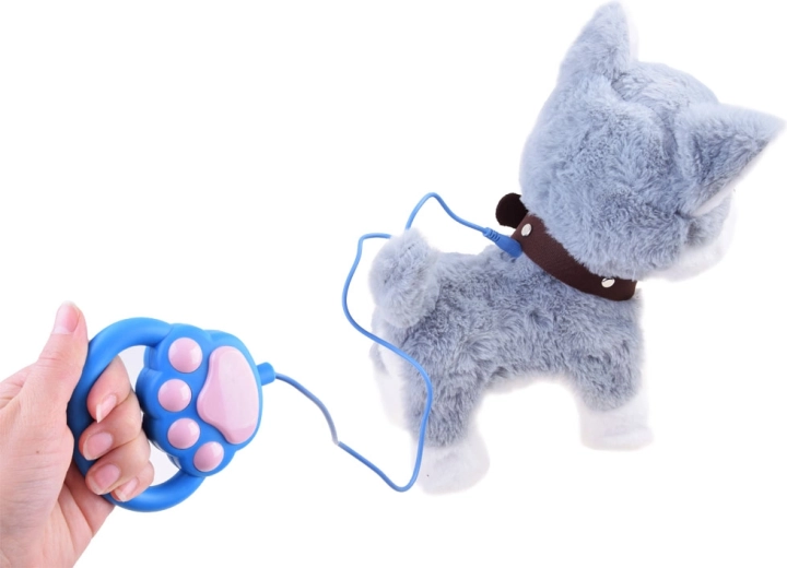 Kõnd rihmaga ja lihtne juhtimine