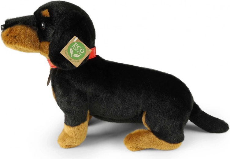 Ohutu teostus lastele alates sünnist