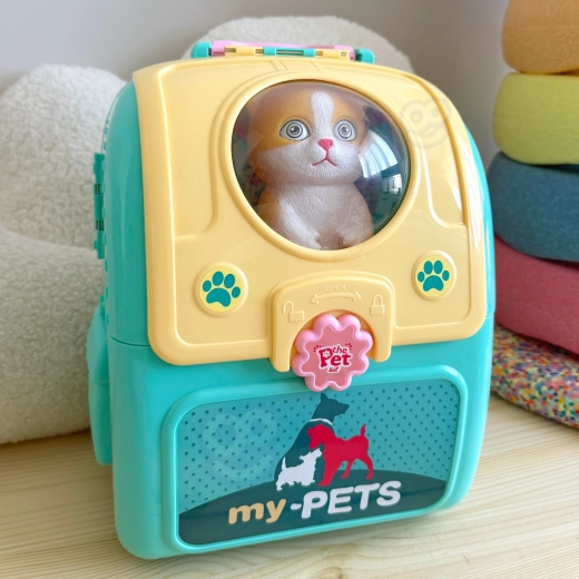 Backpack and carrier in one