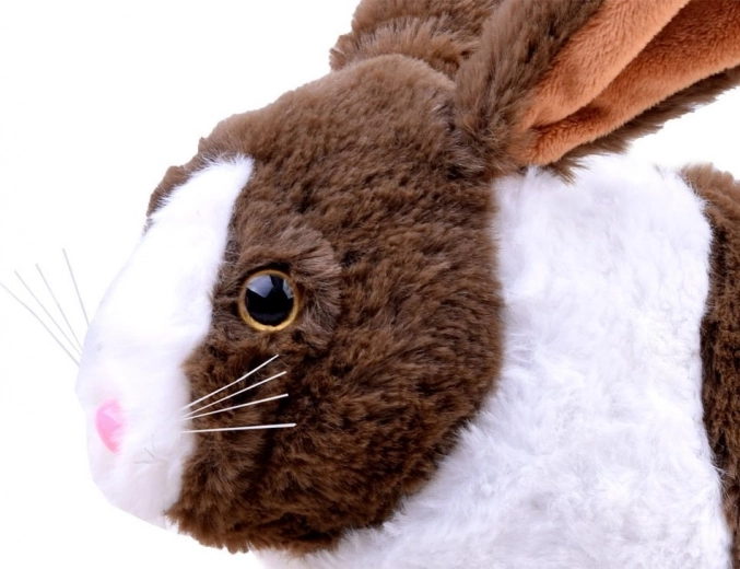 Realistlik välimus ja pehme plush