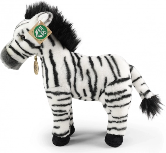 Ohutu alates sünnist