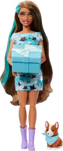 Nukk tähelise rõivastusega ja armas corgi