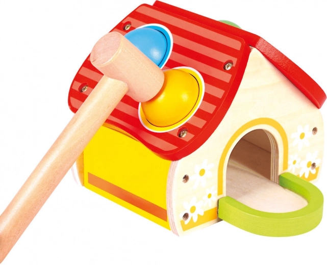 Mitmekülgne mäng ja värvikas disain