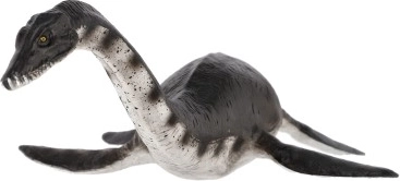 Ideaalne õppimiseks ja kollektsioonideks