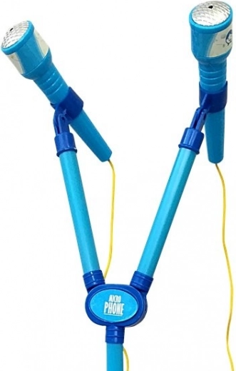 Two microphones for duets and shared fun