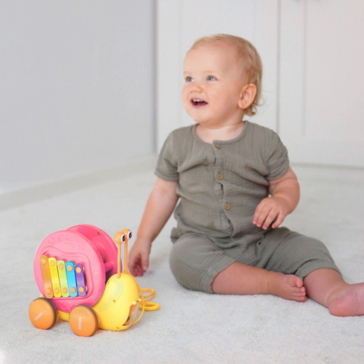 Launch car and sensorimotor elements