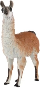 Ideaalne õppeks ja dekoratsiooniks