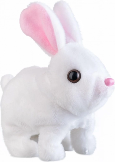 Hüppab, liigutab kõrvu ja räägib