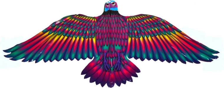 Stabiilne lend tänu laiadele tiibadele