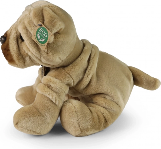 Pehme kaisukaaslane alates 0+