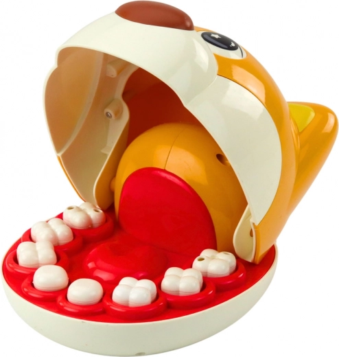 8 eemaldatavat hammast ja realistlikud tööriistad