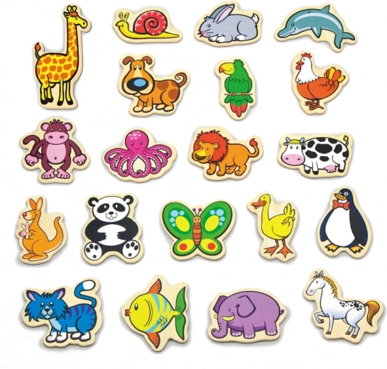 Värvilised magnetilised figuurid